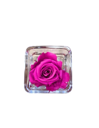 ROSA (Chérie) STABILIZZATA "Effetto Acqua" Profumata