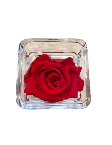 ROSA (Chérie) STABILIZZATA "Effetto Acqua" Profumata