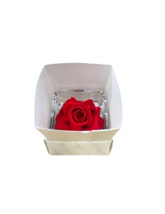 ROSA (Chérie) STABILIZZATA "Effetto Acqua" Profumata 2