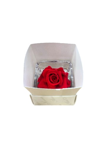 ROSA (Chérie) STABILIZZATA "Effetto Acqua" Profumata