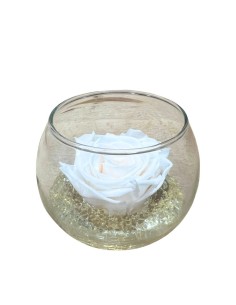 BOCCIA con Rosa STABILIZZATA "Baccara" Profumata