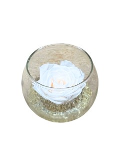 BOCCIA con Rosa STABILIZZATA "Baccara" Profumata 2