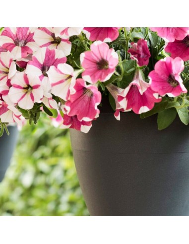 VASO PENSILE (flow) Antracite Moderno per Balcone e Giardino