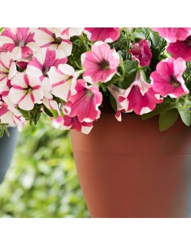 VASO PENSILE (flow) Terracotta per Balcone e Giardino