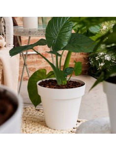 VASO CLEO Rotondo in Plastica Bianco per Interni ed Esterni 2