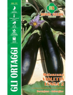 SEMI MELANZANA VIOLETTA LUNGA 2