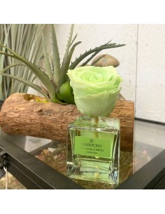 DIFFUSORE (elisir fragranza) Rosa Eterna profumata 100ml