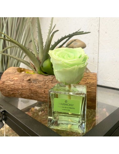 DIFFUSORE (elisir fragranza) Rosa Eterna profumata 100ml