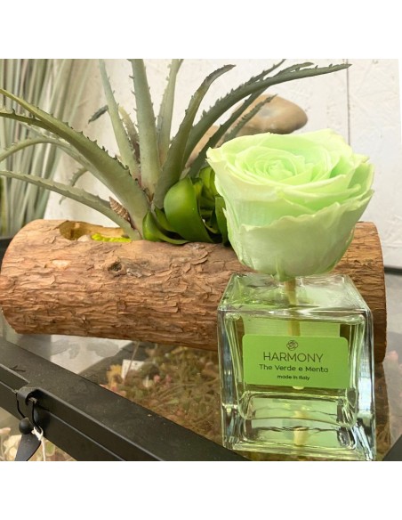 DIFFUSORE (elisir fragranza) Rosa Eterna profumata 100ml