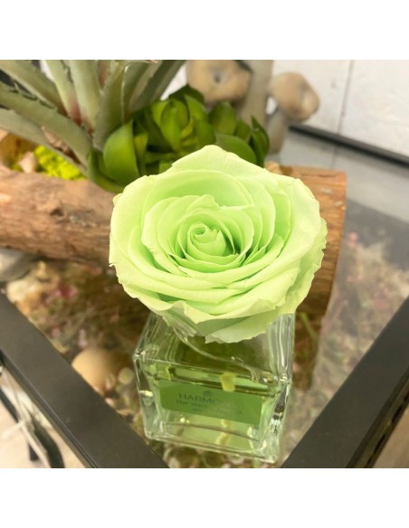 DIFFUSORE (elisir fragranza) Rosa Eterna profumata 100ml