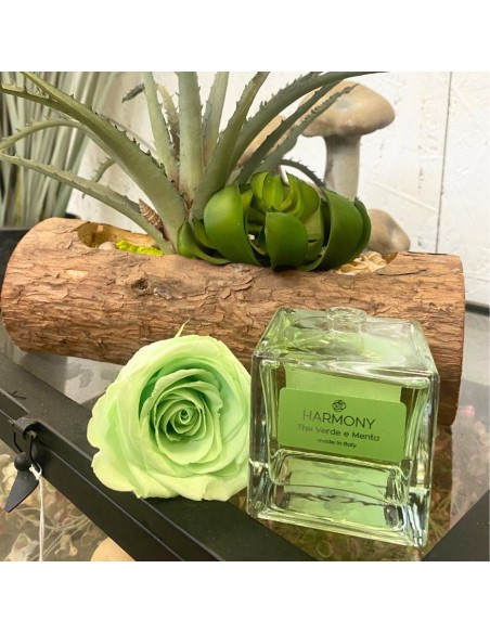 DIFFUSORE (elisir fragranza) Rosa Eterna profumata 100ml