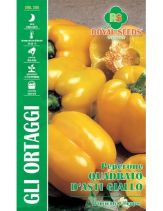 SEMI PEPERONE QUADRATO D'ASTI GIALLO