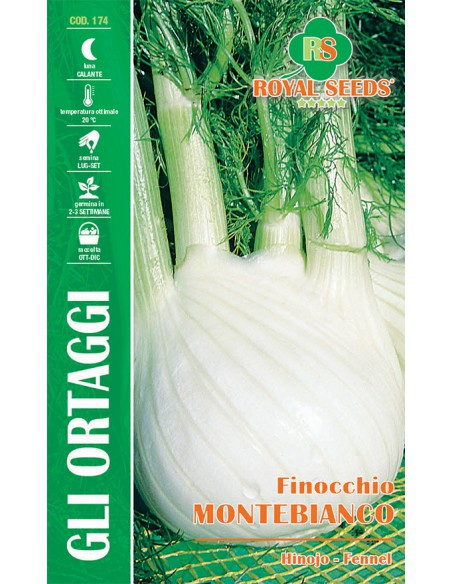 SEMI FINOCCHIO MONTEBIANCO Grumoli grandi e gustosi