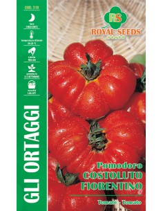 SEMI POMODORO COSTOLUTO FIORENTINO