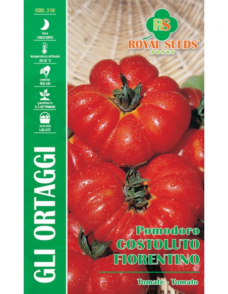 POMODORO COSTOLUTO FIORENTINO MAXI