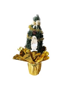 CHAMAECYPARIS PINETTI ADDOBBATI Vaso 21 ASSORTITI 2