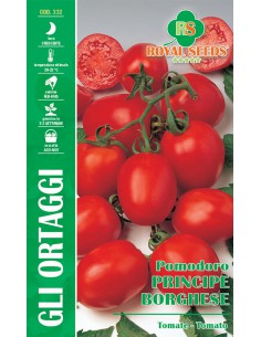 SEMI POMODORO PRINCIPE BORGHESE per salse