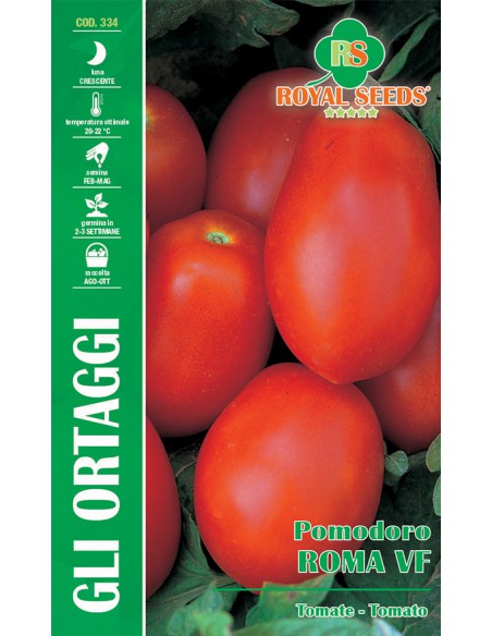 POMODORO ROMA VF MAXI