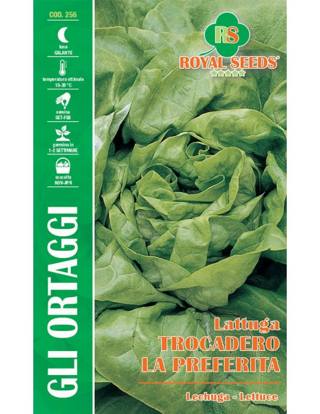 SEMI LATTUGA TROCADERO LA PREFERITA Ricca di vitamine