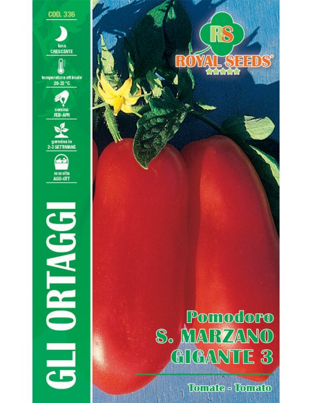 SEMI POMODORO SAN MARZANO GIGANTE 2