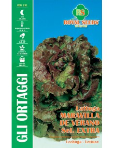 SEMI DI LATTUGA MARAVILLA DE VERANO CANASTA
