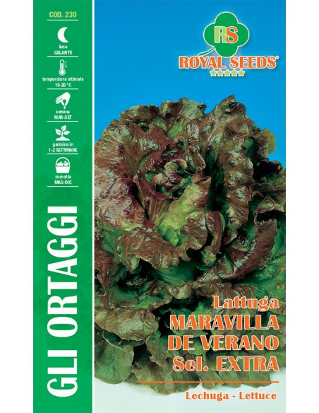 SEMI DI LATTUGA MARAVILLA DE VERANO CANASTA