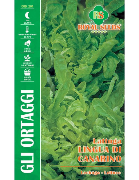 LATTUGA LINGUA DI CANARINO MAXI