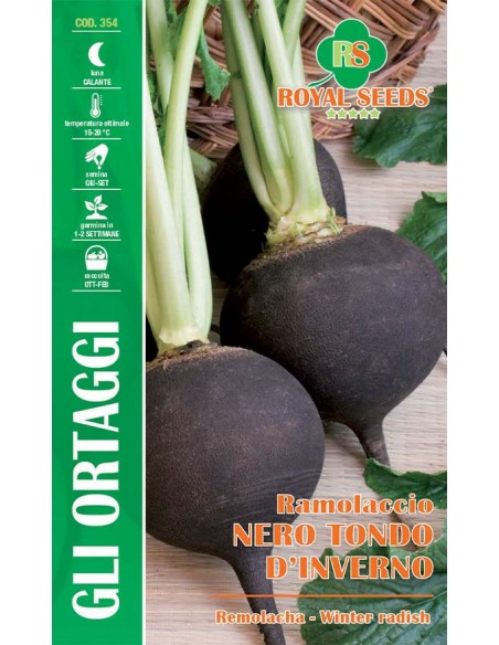 Ramolaccio Nero Tondo Royal Seeds Sementi da Orto Invernale