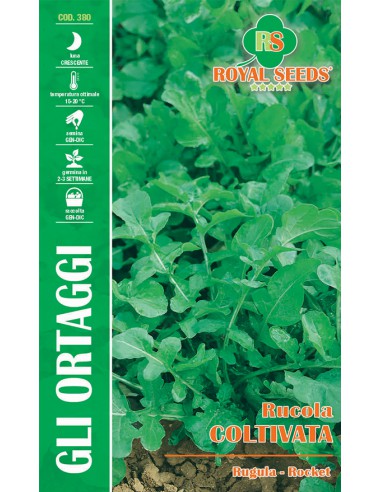 RUCOLA COLTIVATA MAXI