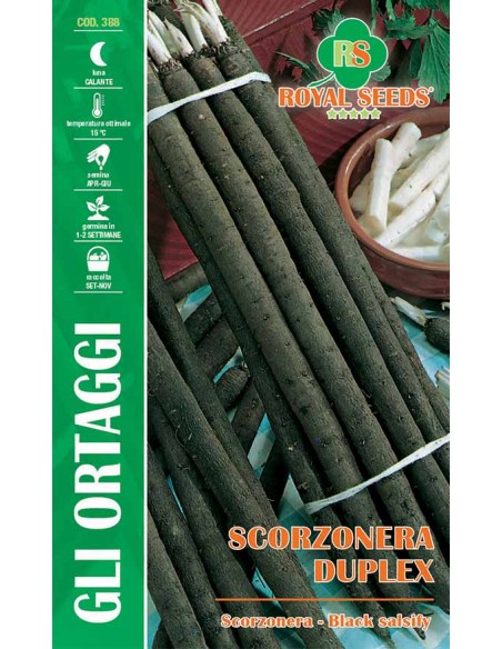Scorzonera Duplex Royal Seeds Semi da Orto Radice Invernale