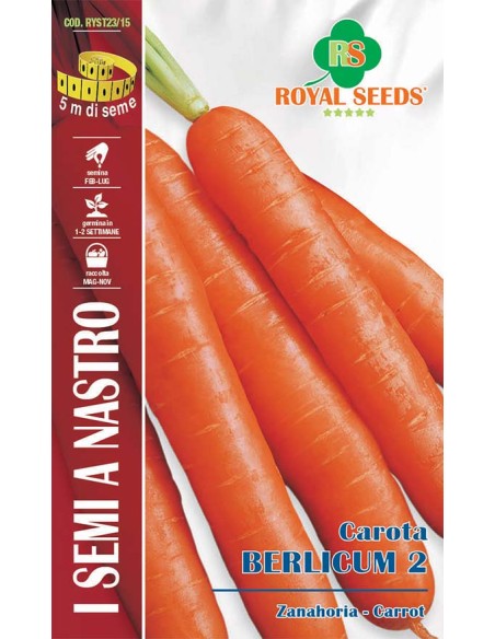 Carota Berlicum Royal Seeds in Nastro | Semina Facile
