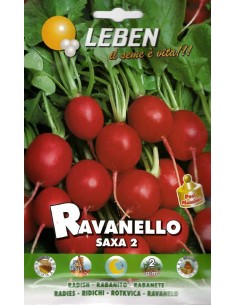 Ravanello Saxa Royal Seeds | Semi da Orto Precoci e Gustosi