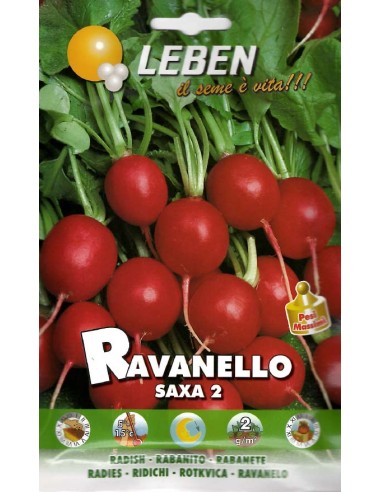 Ravanello Saxa Royal Seeds | Semi da Orto Precoci e Gustosi