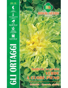 SEMI DI SCAROLA VERDE A CUORE PIENO resiste al freddo