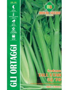 SEMI DI SEDANO "VERDE" TALL UTAH 52/70 coste croccanti