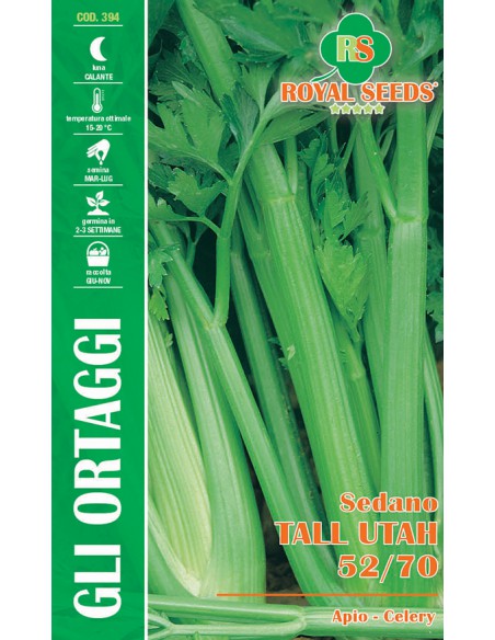 SEMI DI SEDANO "VERDE" TALL UTAH 52/70 coste croccanti