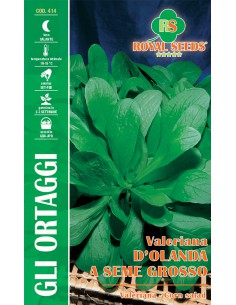 SEMI VALERIANA D'OLANDA A SEME GROSSO