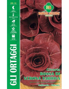 SEMI DI CICORIA ROSSA DI VERONA TARDIVA Amarognolo