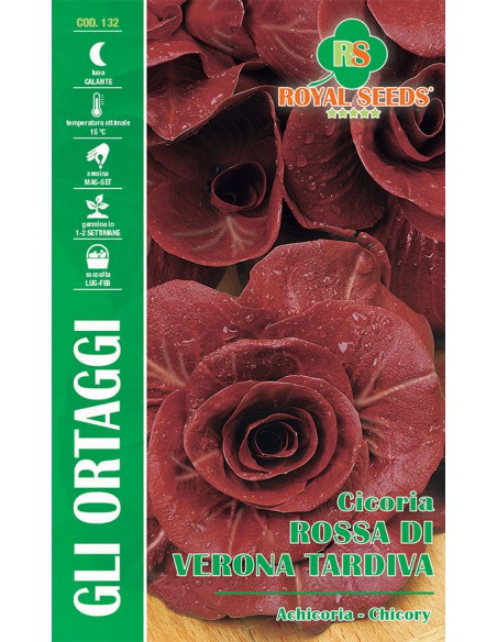 SEMI DI CICORIA ROSSA DI VERONA TARDIVA Amarognolo