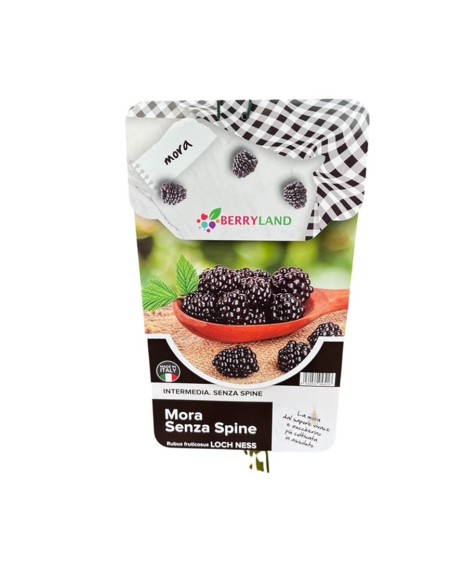 Mora Loch Ness: Senza Spine, Dolce e a Maturazione Media