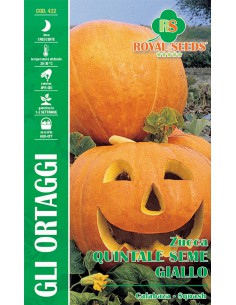 SEME DI ZUCCA QUINTALE SEME GIALLO zucca di Halloween