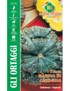 SEMI DI ZUCCA MARINA DI CHIOGGIA gusto inconfondibile