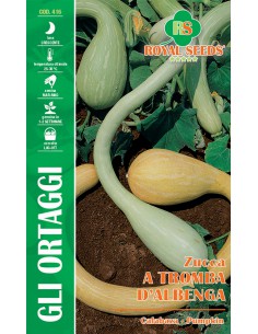 SEMI DI ZUCCA A TROMBA D'ALBENGA
