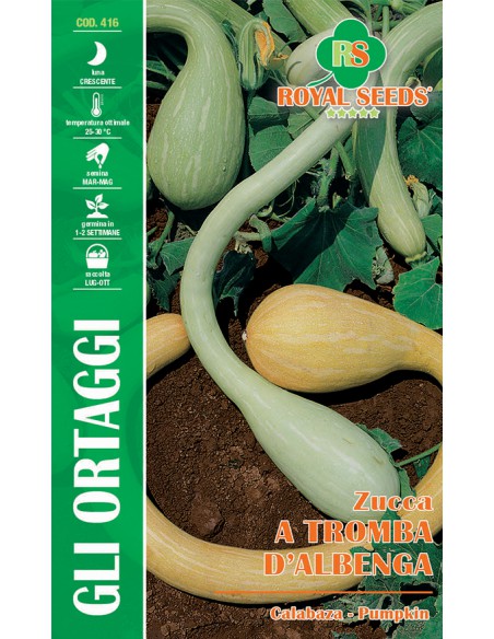 SEMI DI ZUCCA A TROMBA D'ALBENGA