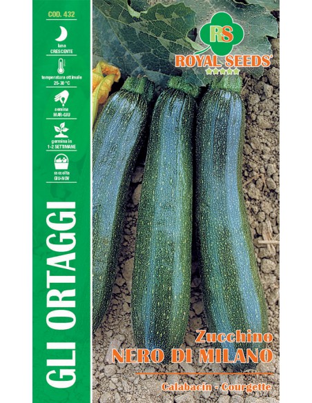 SEMI ZUCCHINO NERO DI MILANO frutti lunghi e scuri
