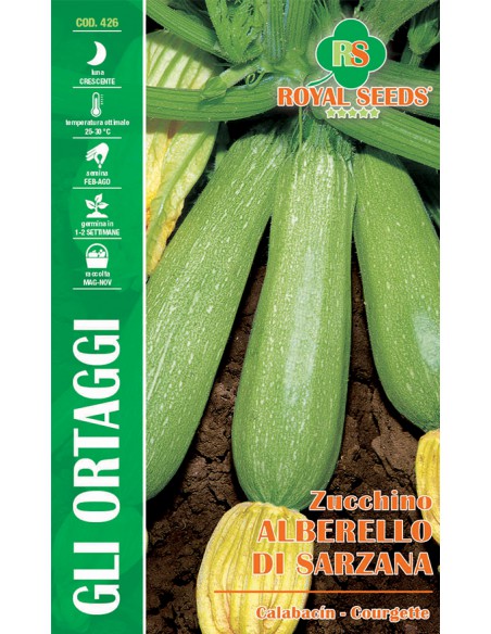 SEMI ZUCCHINO ALBERELLO DI SARZANA frutti cilindrici