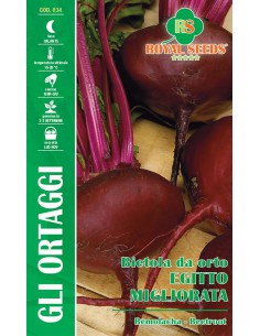 SEMI BIETOLA DA ORTO EGITTO MIGLIORATA sapore dolce