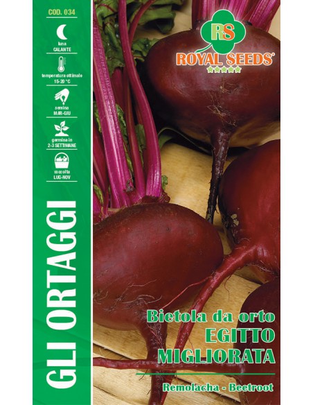 SEMI BIETOLA DA ORTO EGITTO MIGLIORATA sapore dolce