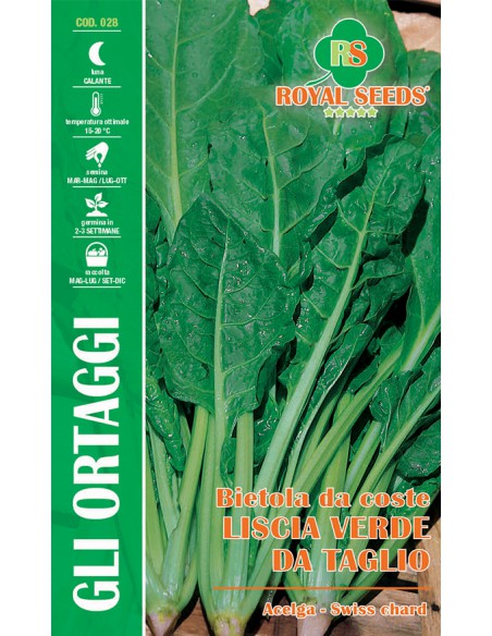 BIETOLA "Erbetta" DA COSTA LISCIA VERDE DA TAGLIO