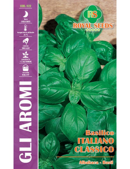 SEMI DI BASILICO ITALIANO CLASSICO Perfetto per il pesto